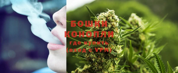 шишки Осташков