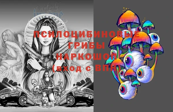 мдпв Балахна
